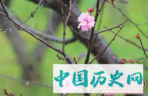 梅开二度的由来