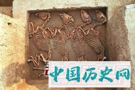 陕西周原遗址发现西周时期大型马车