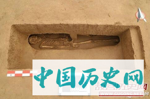 西安发现国内首片庙底沟文化大型墓地