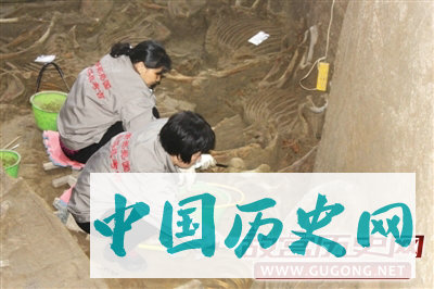 河南新郑郑国三号车马坑考古发掘收官　出土122具马骨和4辆马车