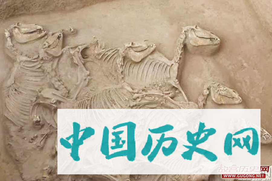 宁夏彭阳县发现西周诸侯王级墓葬群