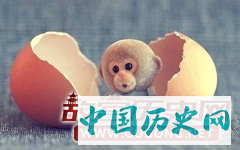 小猴子的红屁股