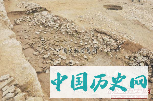 江苏太仓樊村泾元代遗址重大考古收获