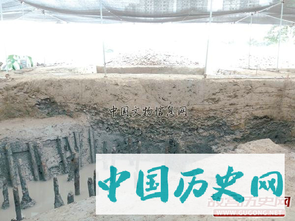 江苏太仓樊村泾元代遗址重大考古收获