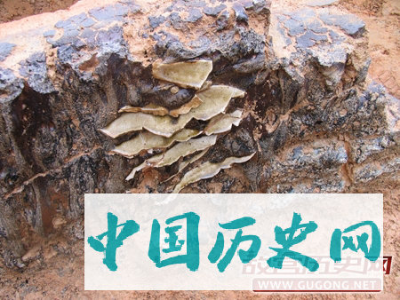 浙江永嘉坦头唐代瓯窑的窑具与装烧工艺