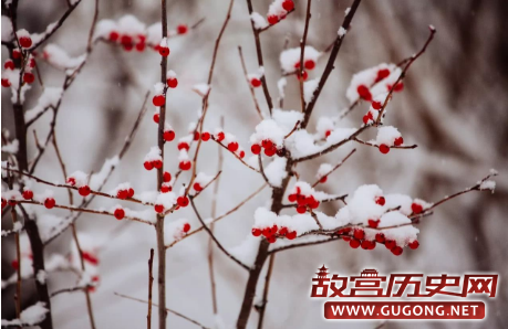 古人九雅：读懂它们就懂了古人的极致浪漫