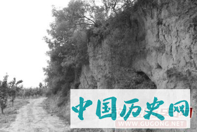 曹髦：一个皇帝的高贵选择