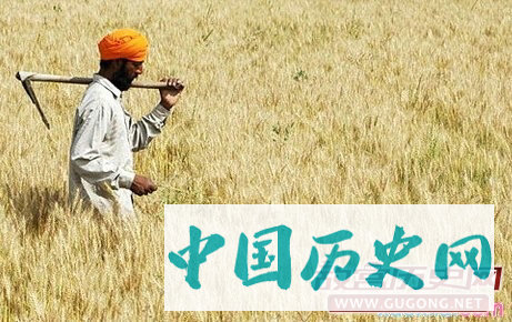 印度农业是怎样的