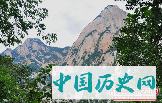 华山仙峪的松鼠