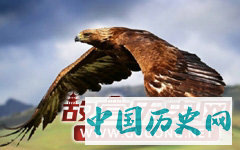 神鹰与神虎