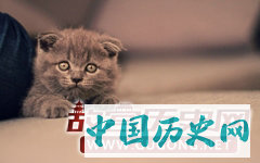 学挖洞