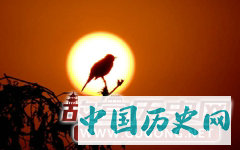 太阳鸟