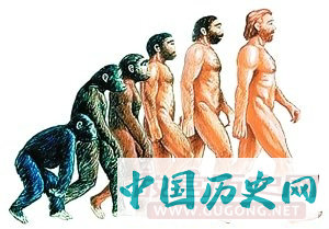人类的起源与进化