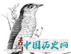 杜宇化鹃的故事
