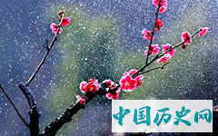 杨赛因不花是谁？他是怎么死的？