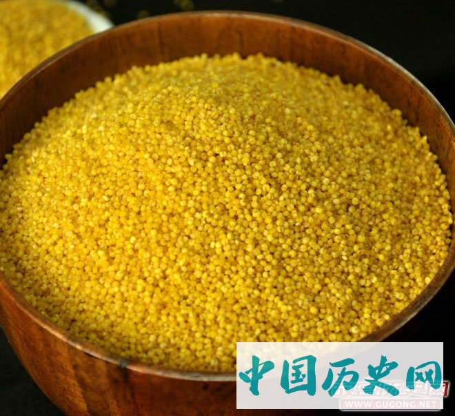 现代的“农家小米”