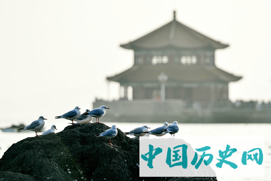 飞鸟时代的简介