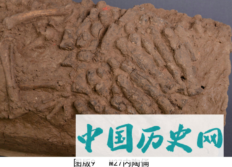 陕西发现汉代宠物狗墓葬 长眠陶管内有小陶俑陪葬