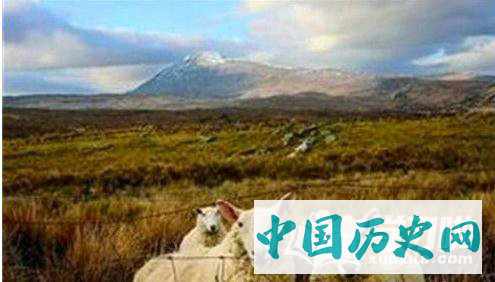 英国圈地运动实质是什么